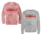 Load image into Gallery viewer, Color Blast Crewneck
